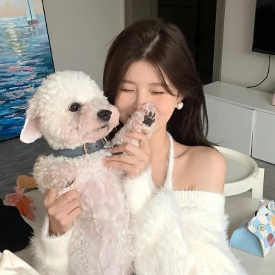 熊出没注意